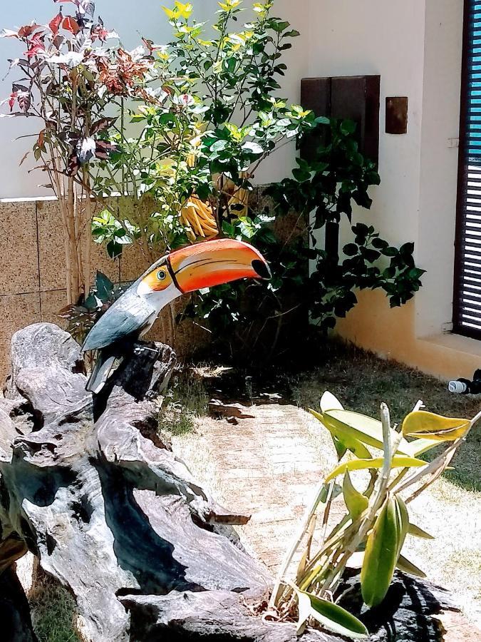 Pousada Deus E Fiel Cachoeira Paulista Eksteriør bilde